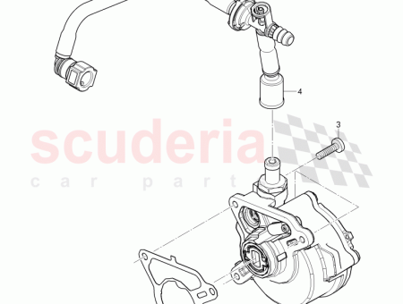 Photo of Seal D 25 12 2020 03H 145…