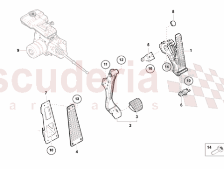 Photo of PEDALIERA…