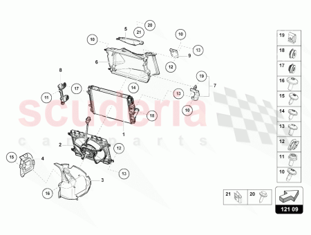 Photo of RUBBER BUSH…