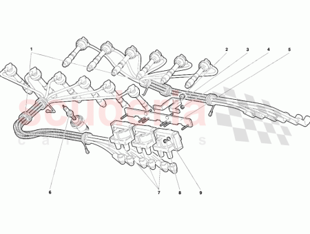 Photo of SUPPORT SUPPORTO…