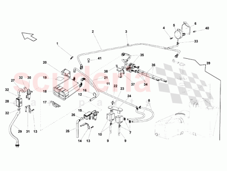 Photo of SUPPORT 20…