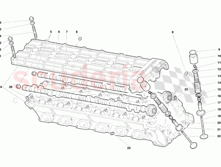 Photo of RIGHT HEAD…