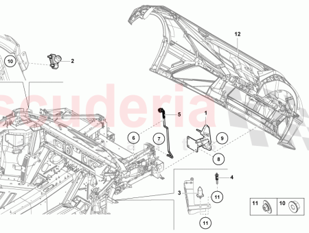 Photo of RUBBER BUSH…