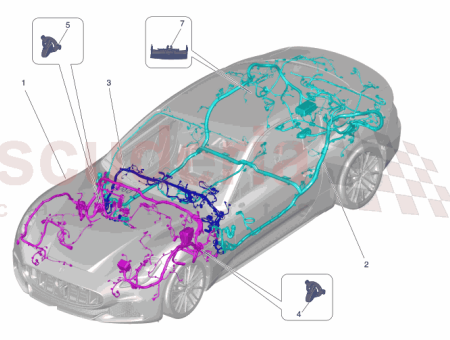 Photo of MOLLETTA RITEGNO DISTANZIALE…