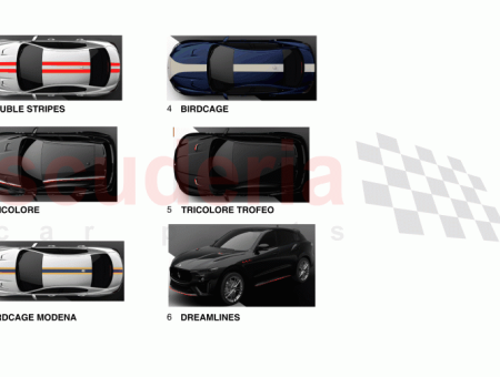 Photo of LIVERY TRICOLOR BAND…