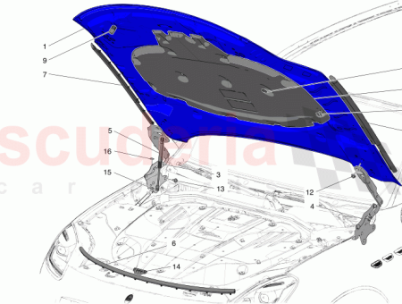Photo of BONNET GRECALE…
