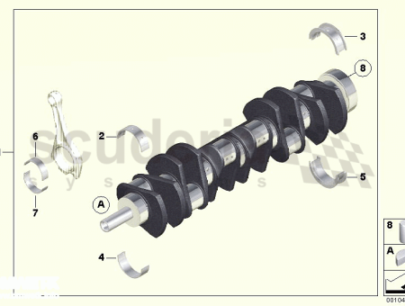 Photo of Bearing shell violet 11 21…