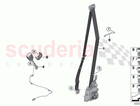 Photo of Belt cage…