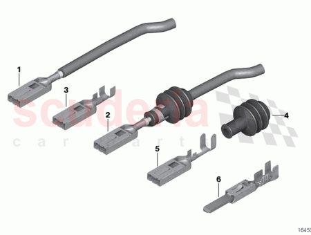 Photo of Strand seal…