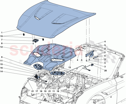 Part Diagram for Ferrari 82575600