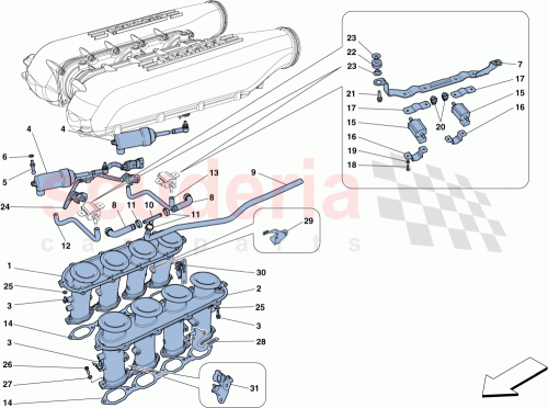 Part Diagram for Ferrari 292717