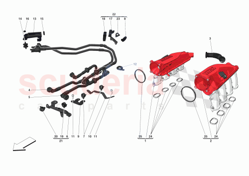 Part Diagram for Ferrari 195052